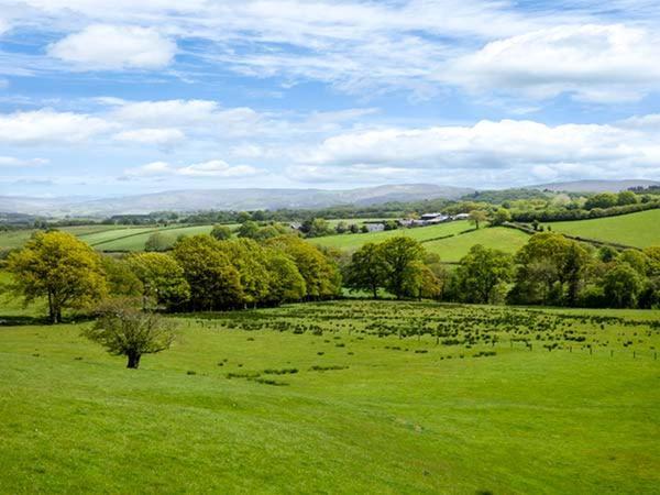 Black Mountain View Llanafan-fawr Dış mekan fotoğraf